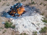 Trip Report and the Red Heifer&nbsp;Sacrifice